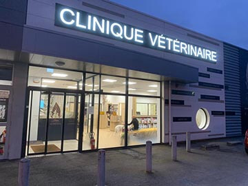 clinique-veterinaire/84a5ad73-2e24-459d-949a-18db315fd817
